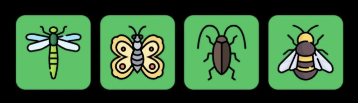 FLIES Daily Combo 19 June 2025